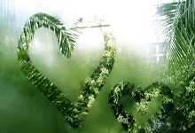 佩斯在最新比赛中战胜了蒙彼利埃