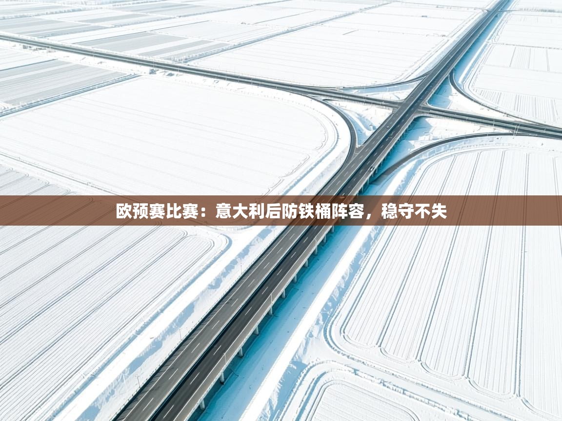 欧预赛比赛：意大利后防铁桶阵容，稳守不失  第1张