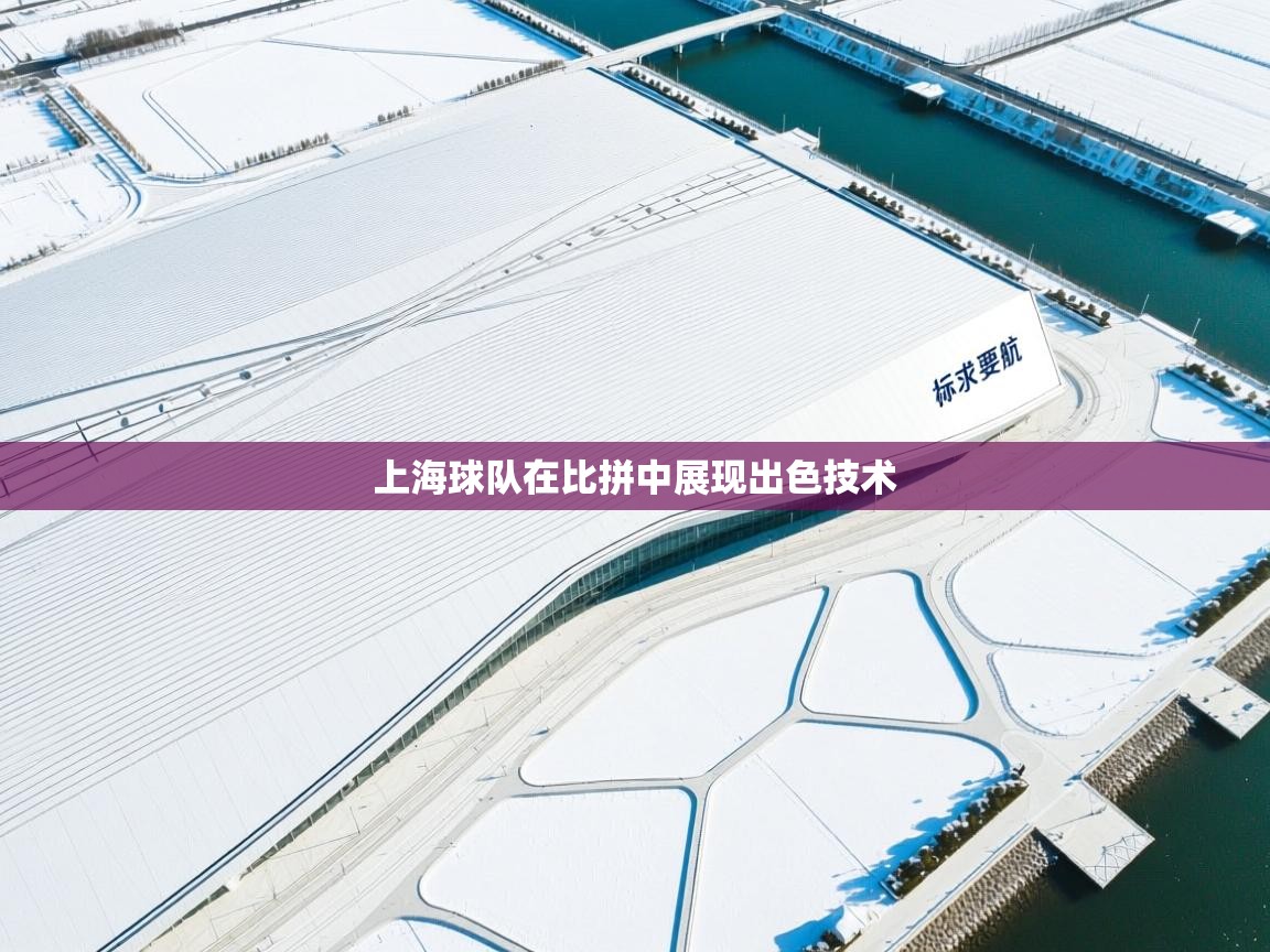 上海球队在比拼中展现出色技术