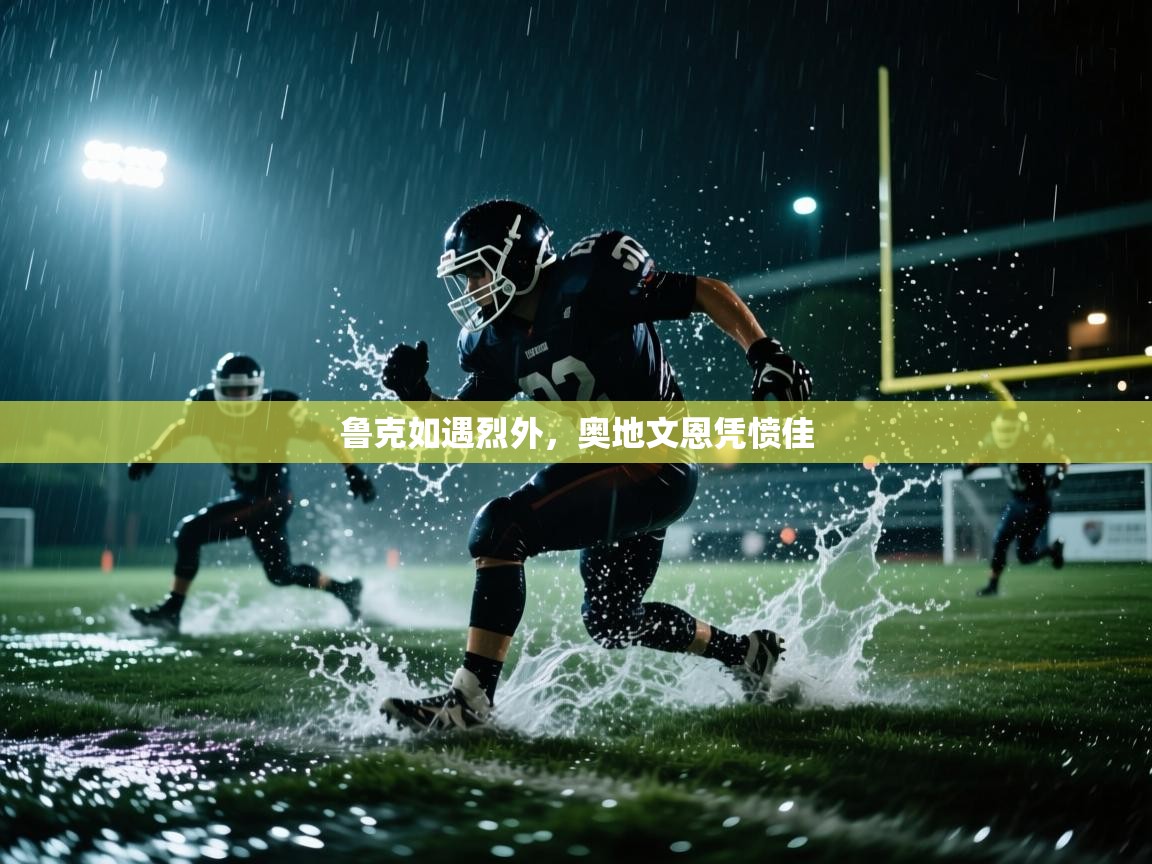 鲁克如遇烈外,奥地文恩凭愤佳 第2张