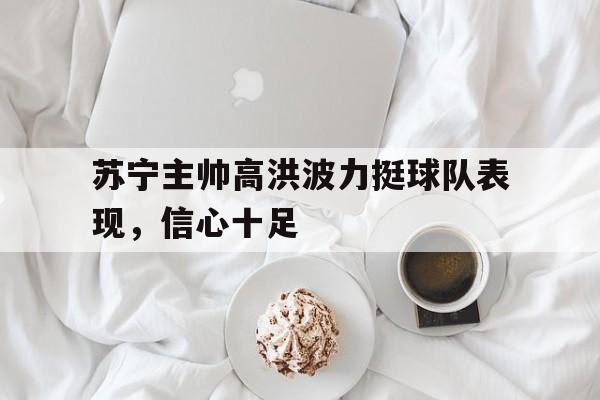 苏宁主帅高洪波力挺球队表现，信心十足的简单介绍